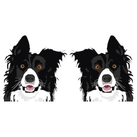 Signmission Border Collie Dog Decal, Dog Lover Decor Vinyl Sticker D-18-Border Collie